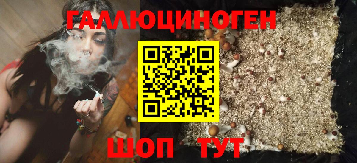 Меф кристаллы  Приморско-Ахтарск  МЕТ  ГАШИШ  Вход с VPN  COCAIN  Конопля  КЕТАМИН 