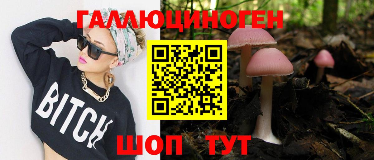 Приморско-Ахтарск  Псилоцибиновые грибы MAGIC MUSHROOMS  Псилоцибиновые грибы прущие грибы  Вход с VPN 